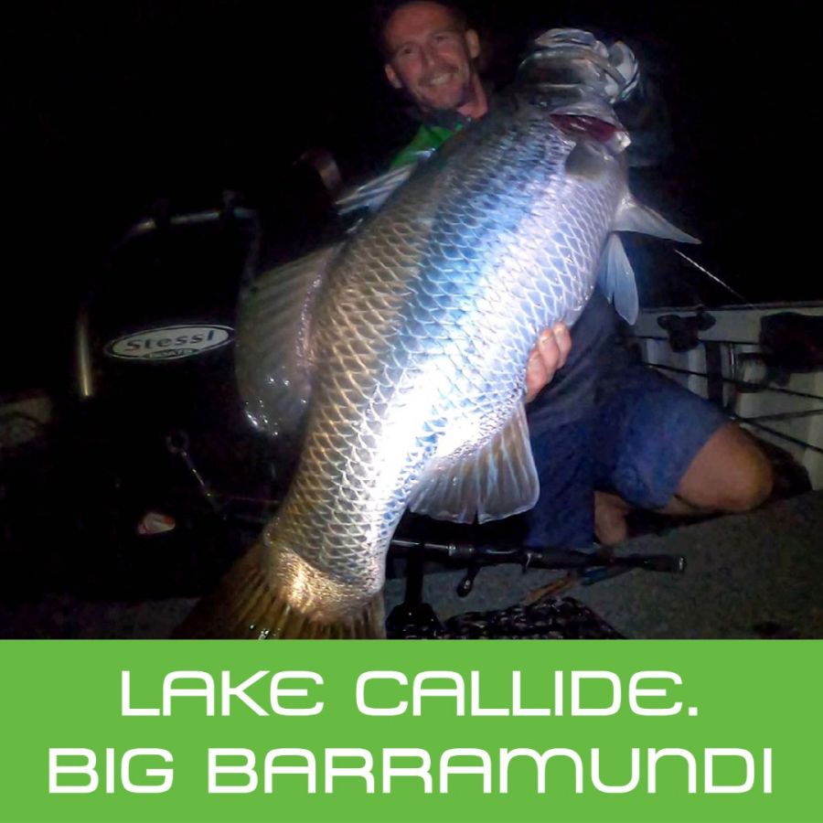 Catch A Big Barramundi At Lake Callide: Pro Team Tips