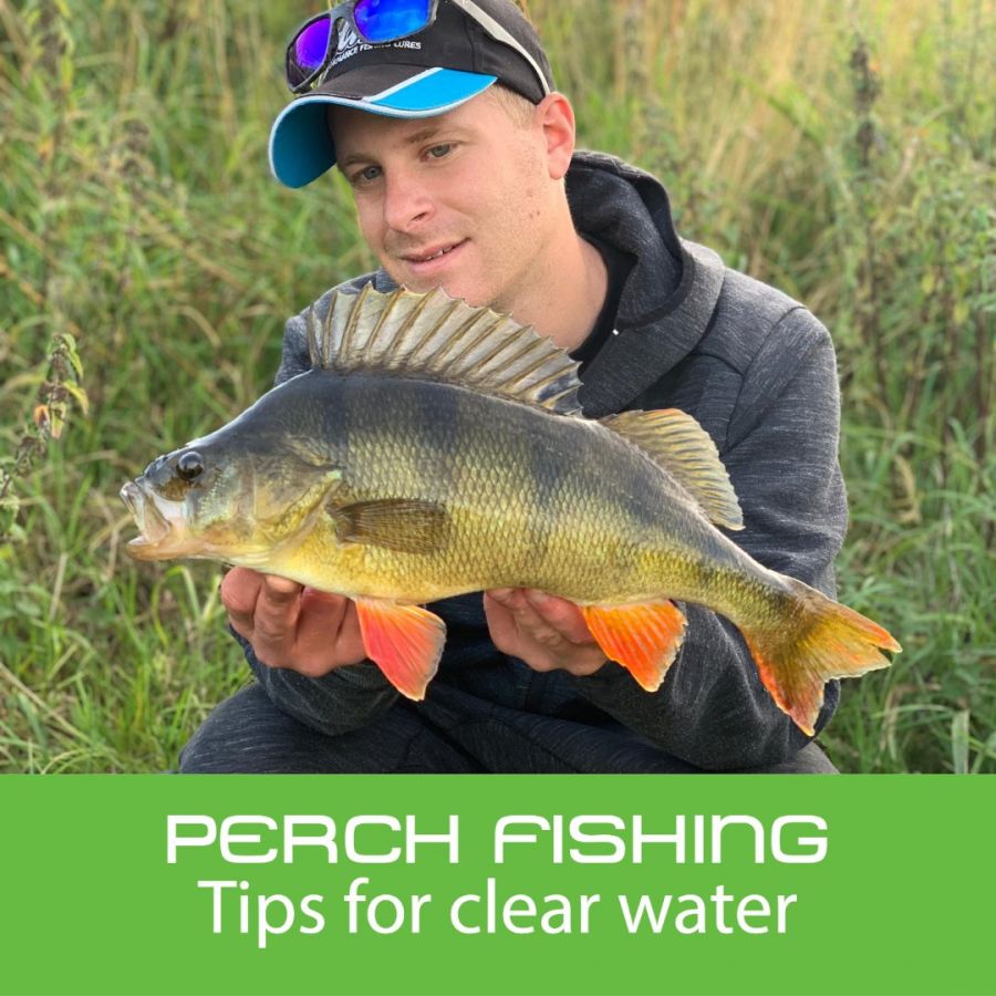 Clear Water Perch Fishing Tips: Jason Stokes