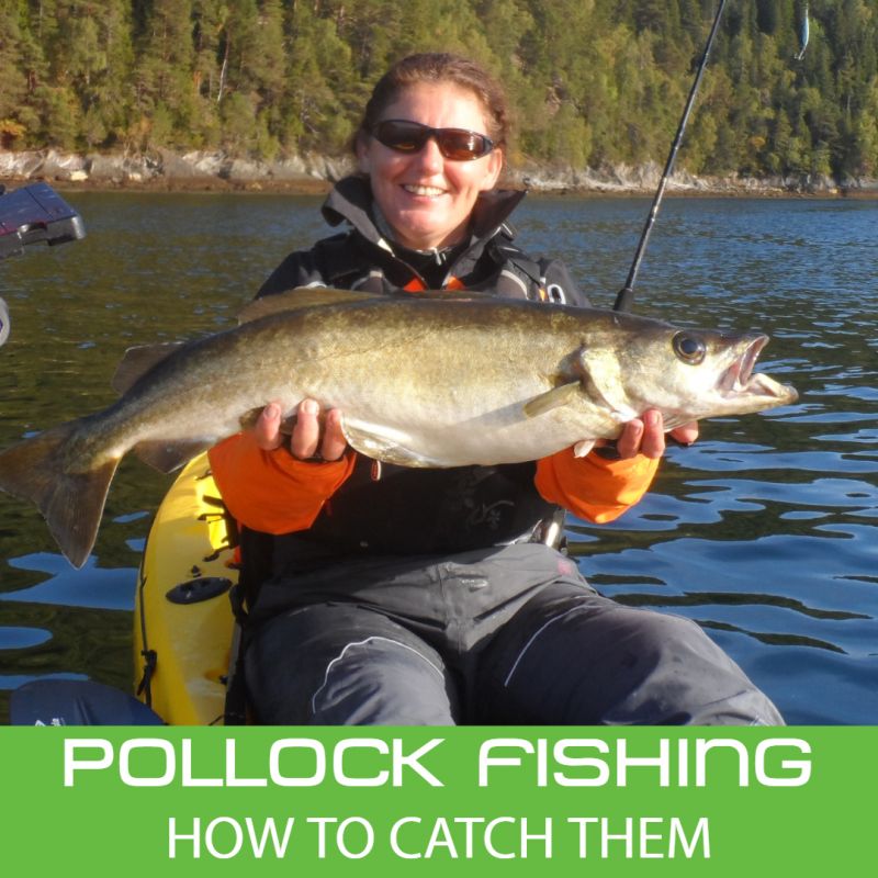 Pollock fishing, How to catch them, Irene Hodgson RAILBLAZA International