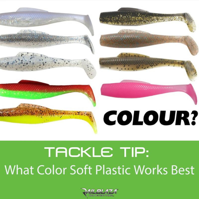 Tackle Tip : What Colour Soft Plastic Works Best For Fishing